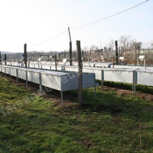 Élevage et vente de petits gibiers à Bézenet (03), Allier