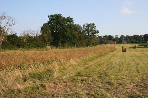 Journée de chasse du Lundi 04/10