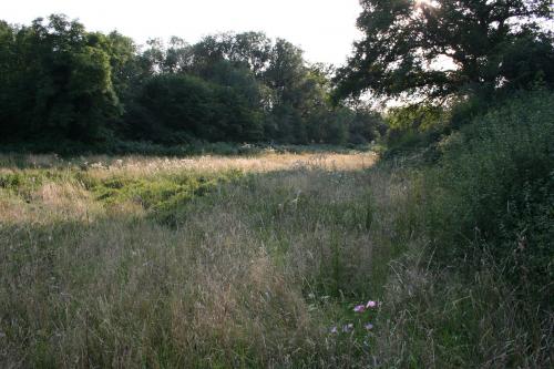 Journée de chasse du Lundi 04/10