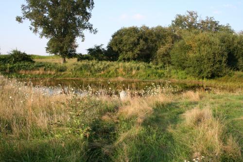 Journée de chasse du Lundi 04/10