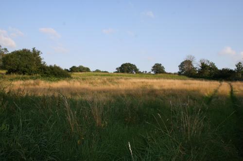 Journée de chasse du Lundi 04/10