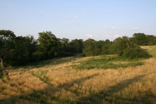 Journée de chasse du Lundi 04/10