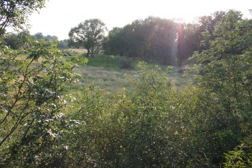 Journée de chasse du Lundi 04/10